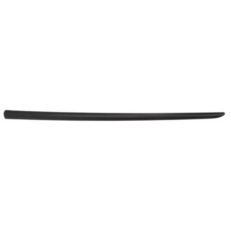 5703-04-2024571PP Trim/Protection Strip, wing BLIC