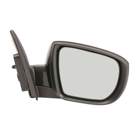 5402-04-1502200P Exterior Mirror BLIC