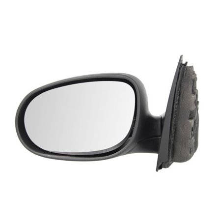 5402-23-2001593P Exterior Mirror BLIC