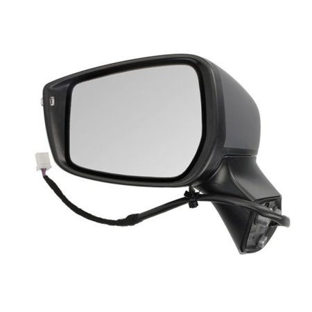 5402-16-2001915P Exterior Mirror BLIC