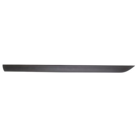 5703-04-2532572P Trim/Protection Strip, wing BLIC