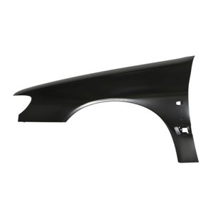 BLIC 6504-04-5536313Q - Front fender L (with indicator hole, with rail holes, galvanized, CZ) fits: PEUGEOT 406 12.99-12.04