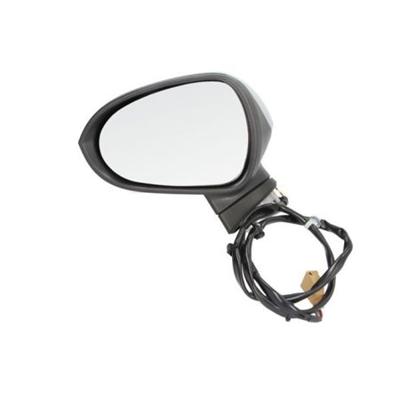 5402-10-2002279P Exterior Mirror BLIC