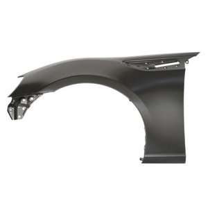 6504-04-6740311P Wing BLIC - Top1autovaruosad