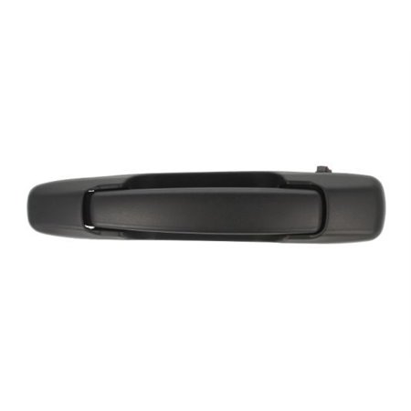 6010-17-008401P Exterior Door Handle BLIC