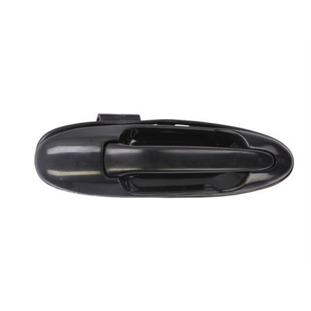 6010-19-035404P Exterior Door Handle BLIC