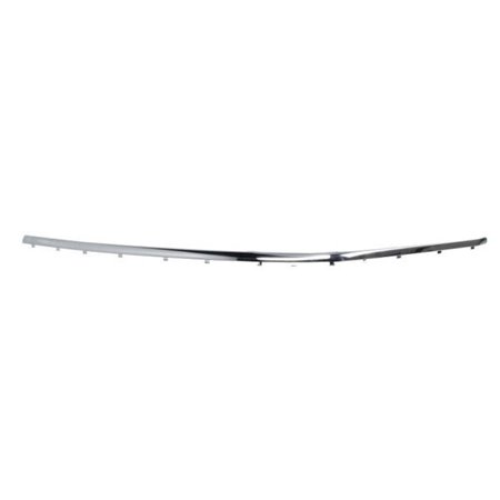 5703-05-0076921PP Trim/Protection Strip, bumper BLIC