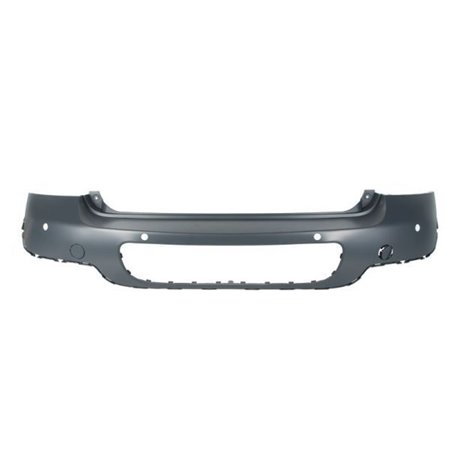 5506-00-4003950P Bumper BLIC