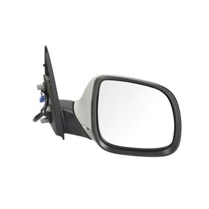 5402-01-2002568P Exterior Mirror BLIC - Top1autovaruosad