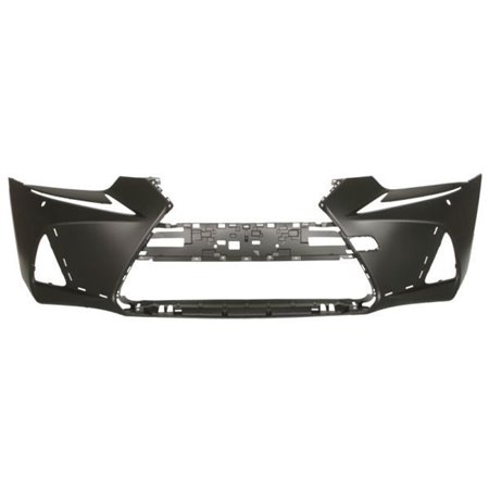 5510-00-8173903P Bumper BLIC