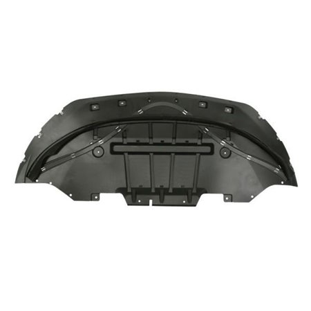 6601-02-2586880P Engine Guard/Skid Plate BLIC