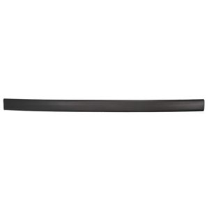 BLIC 5703-04-2530571P - Garnish strips for door front L (black) fits: FORD ESCORT VII 4/5D 01.95-02.99