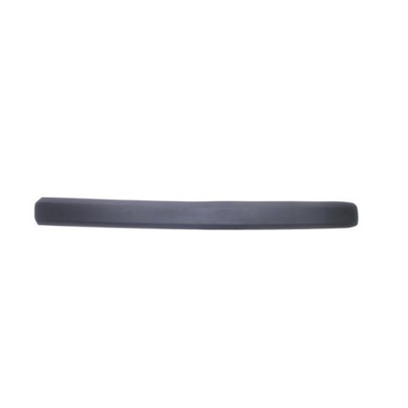 5703-04-2042572PP Trim/Protection Strip, wing BLIC