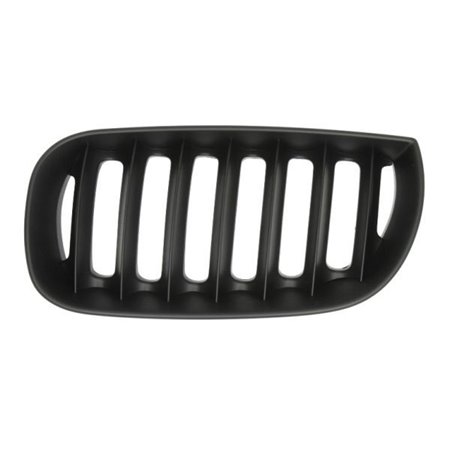 6502-07-0093995P Radiator Grille BLIC