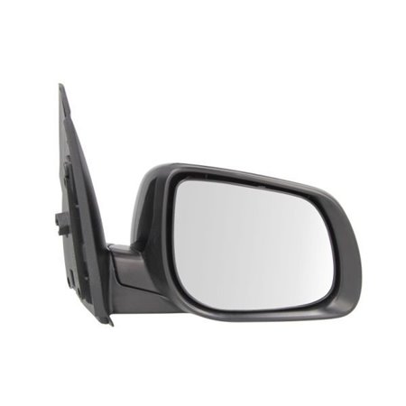 5402-53-2001532P Exterior Mirror BLIC