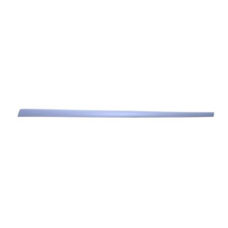 5703-04-2564576PP Trim/Protection Strip, wing BLIC