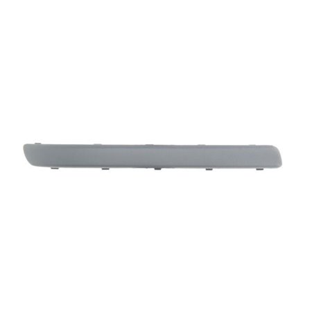 5703-05-5023973Q Trim/Protection Strip, bumper BLIC