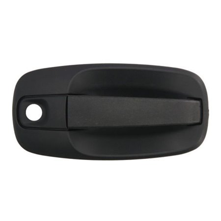 6010-09-041410PP Exterior Door Handle BLIC