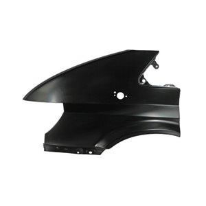 BLIC 6504-04-2509313Q - Front fender L (with indicator hole, galvanized, CZ) fits: FORD TRANSIT V 01.00-05.06