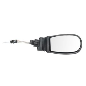 5402-04-1111329P Exterior Mirror BLIC - Top1autovaruosad