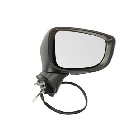 5402-14-2001704P Exterior Mirror BLIC