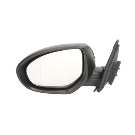 5402-14-2001695P Exterior Mirror BLIC