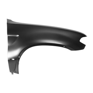 BLIC 6504-04-0095314P - Front fender R (with indicator hole) fits: BMW X5 E53 12.03-12.06