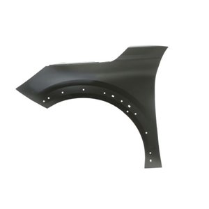 6504-04-5509313PP Front fender L (with rail holes, steel) fits: PEUGEOT 208 01.19 