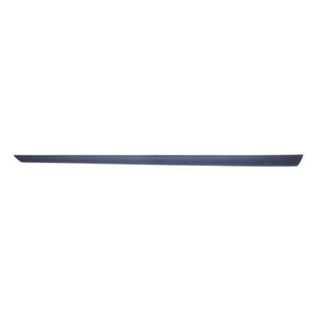 5703-04-2564571PP Trim/Protection Strip, wing BLIC