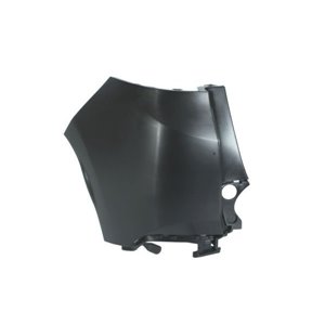 5506-00-5516953P Bumper BLIC - Top1autovaruosad