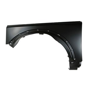BLIC 6504-04-6490311P - Front fender L (steel) fits: LAND ROVER DISCOVERY III 07.04-09.09