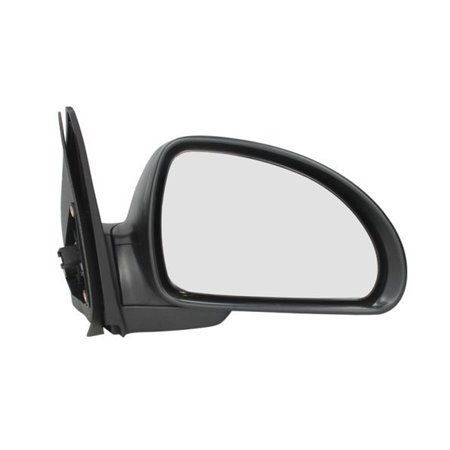 5402-04-9927136P Exterior Mirror BLIC