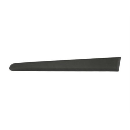 5703-04-2027477P Trim/Protection Strip, wing BLIC