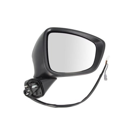 5402-14-2001738P Exterior Mirror BLIC