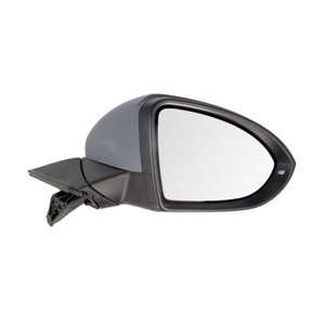 5402-01-2002650P Exterior Mirror BLIC - Top1autovaruosad