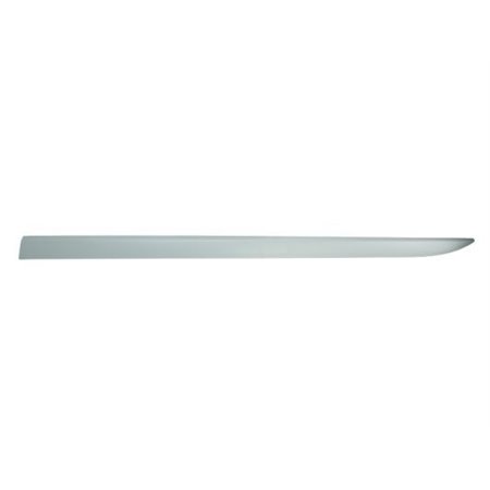 5703-04-5024575P Trim/Protection Strip, wing BLIC