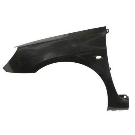 BLIC 6504-04-5514311P - Front fender L (with indicator hole, plastic) fits: PEUGEOT 307 08.00-09.05