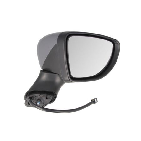 5402-09-2002130P Exterior Mirror BLIC