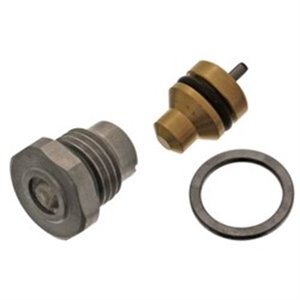 FE46255 Driver’s cab lift (tilt) cylinder repair kit (valves) fits: SCANI