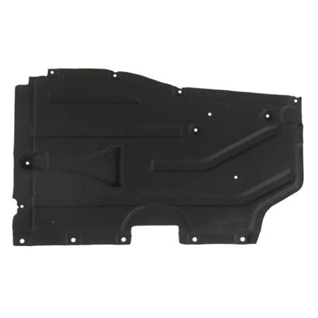 6601-02-0093982P Engine Cover BLIC