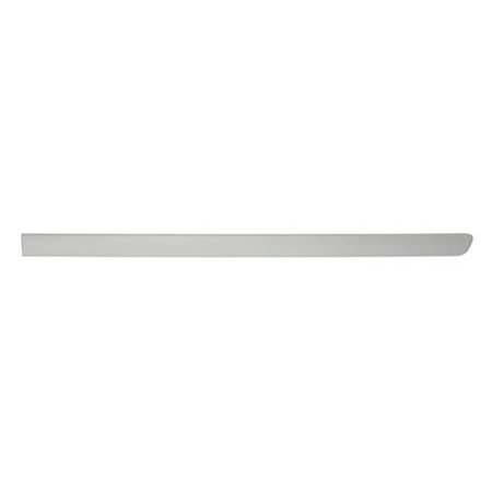 5703-04-5026577P Trim/Protection Strip, wing BLIC