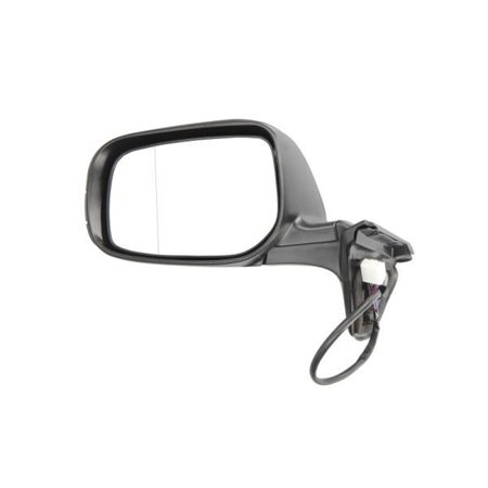 5402-19-2002437P Exterior Mirror BLIC