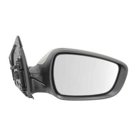 5402-20-2001368P Exterior Mirror BLIC