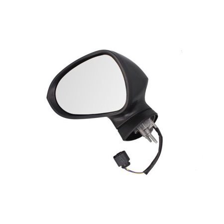 5402-10-2002291P Exterior Mirror BLIC