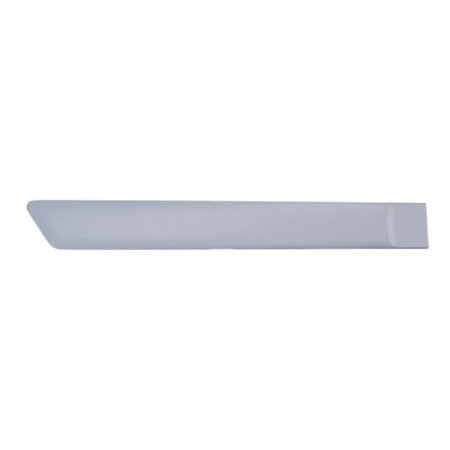 5703-04-2564478CP Trim/Protection Strip, wing BLIC