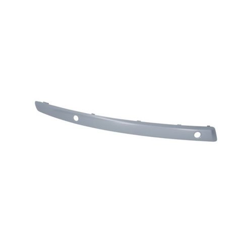 5703-05-0085926Q Trim/Protection Strip, bumper BLIC