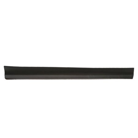 5703-02-6738492P Trim/Protection Strip, door BLIC