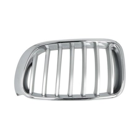 6502-07-00939955P Radiator Grille BLIC