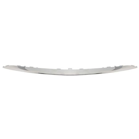 6502-07-3531910P Trim/Protection Strip, bumper BLIC