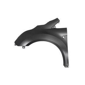BLIC 6504-04-2508311P - Front fender L (with indicator hole) fits: FORD TRANSIT / TOURNEO CONNECT II 09.13-11.17